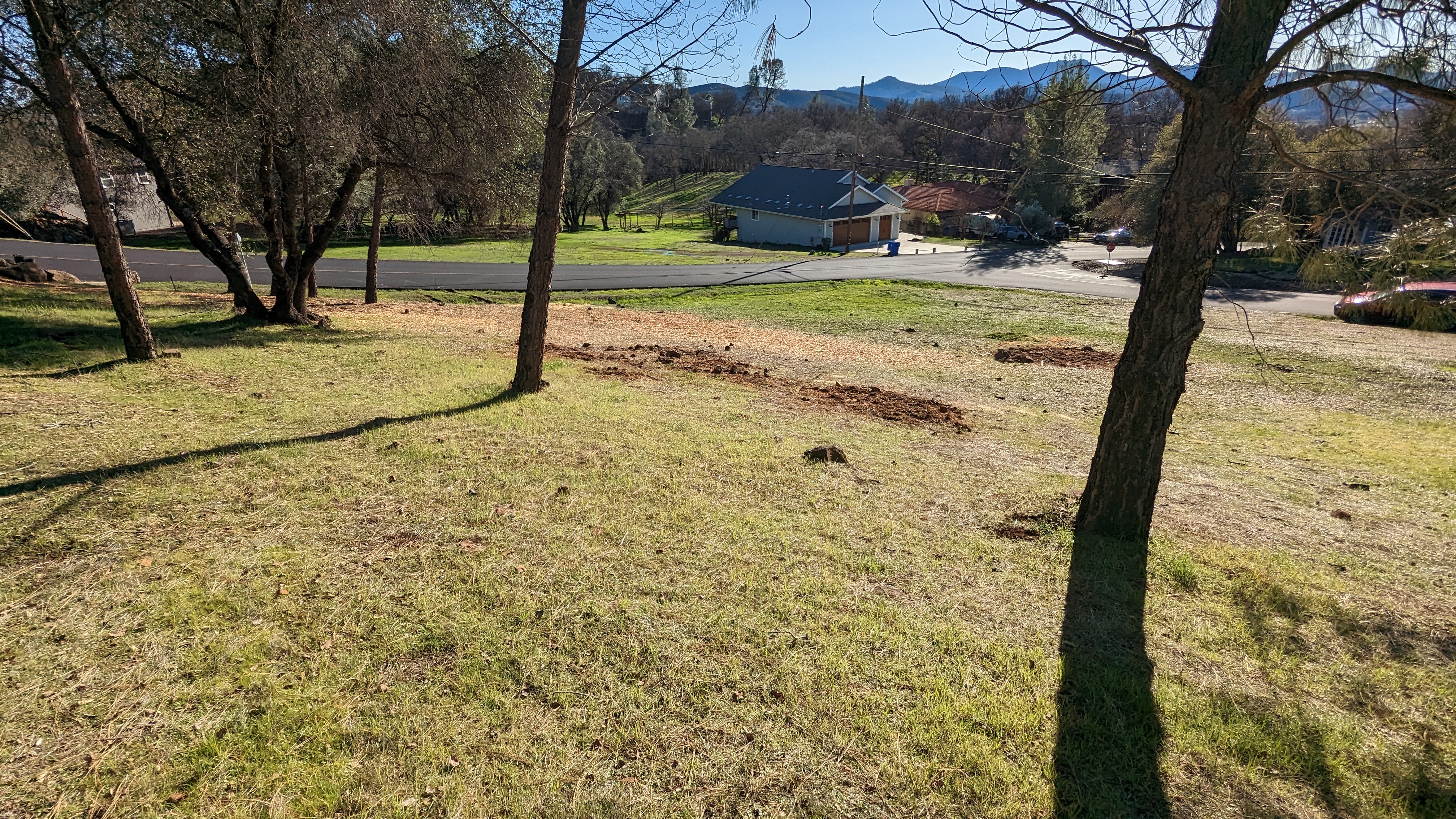 January 2023 view across the grassy lot and remaining trees toward the road; neighboring homes are not included.